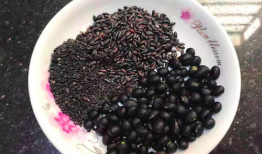 黑豆黑米黑芝麻豆浆,健康养生新选择”